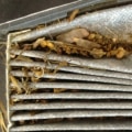 How Often Should You Change Your Car's Cabin Air Filter?