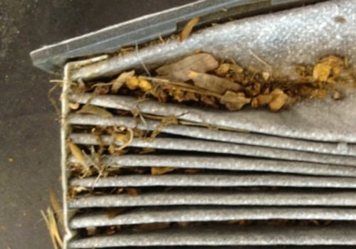 How Often Should You Change Your Car's Cabin Air Filter?